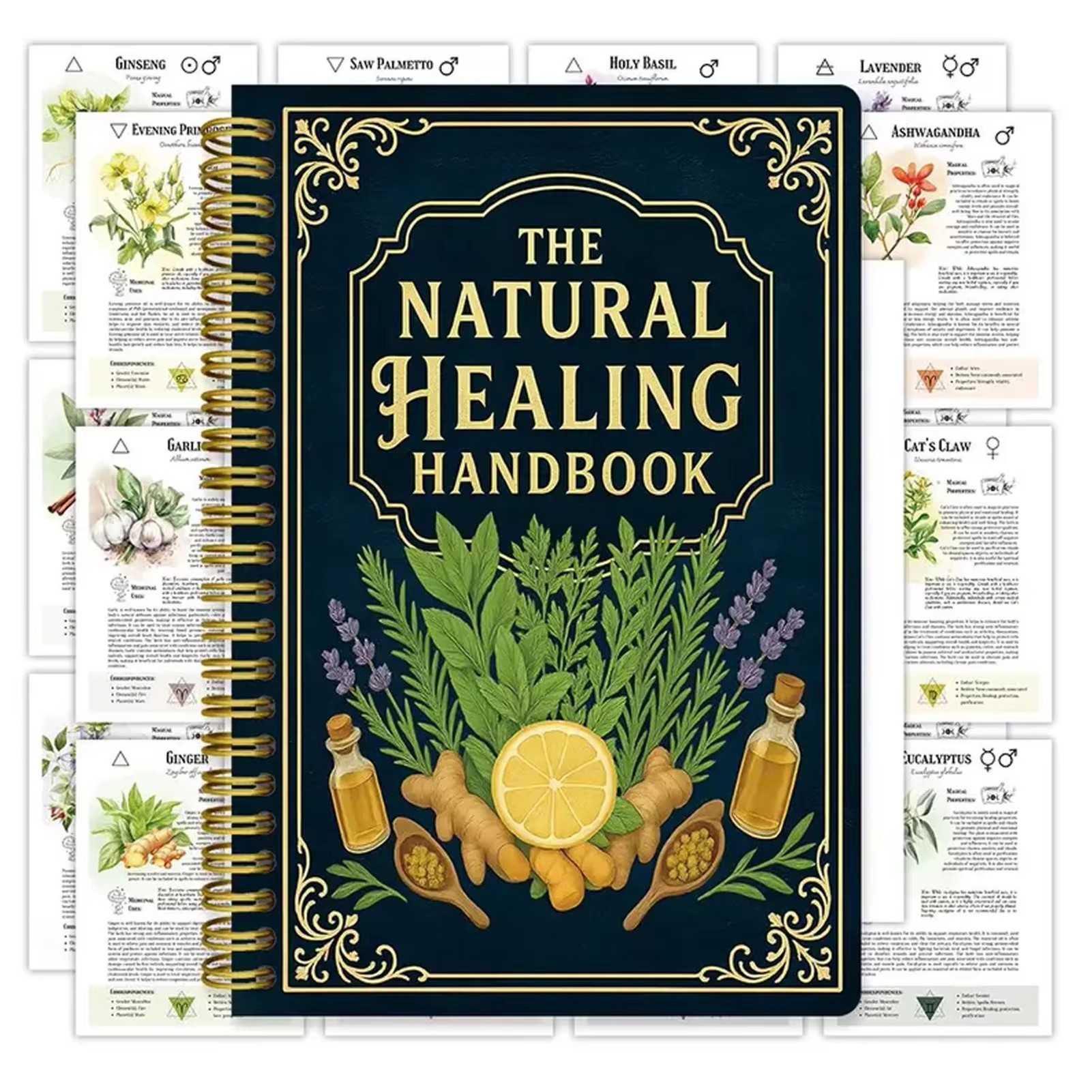 Health & Wellness Animal Hospital - Healing Handbook By Luna Filby English