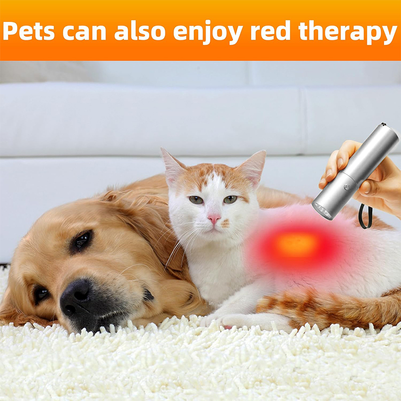 Blue Red Light Therapy Device  - огляд і ціна Acne Light Therapy Pen